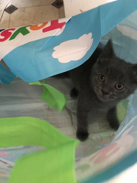 D'ya ever wonder if you could still do the twist and not actually wet yourself in the process?