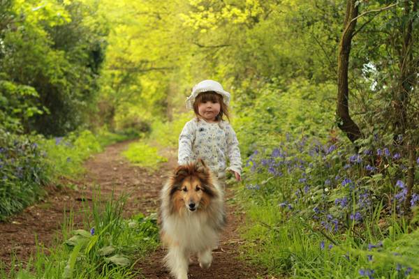 Key reasons for getting a dog - share them here - chance to WIN £300 NOW CLOSED