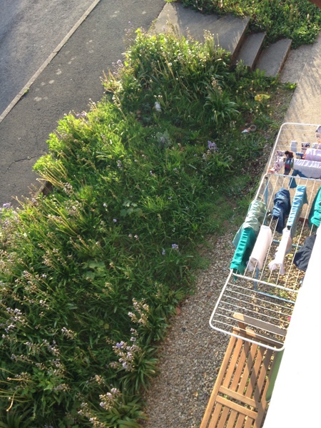 Neighbour scolded me about washing out in the front
