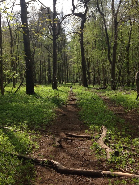 May the frugaleering be with you - frugal chat and support for frugalers old and new.