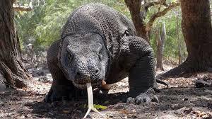 With a human skull in the garden?