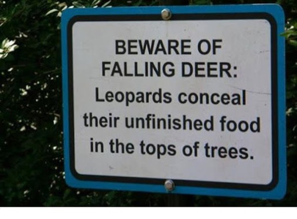 To find this sign hilarious?