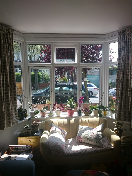 Window treatments - ideas?