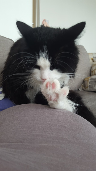 Thread #6 - TTC#1 Grads - Sun roasted pregnant ladies