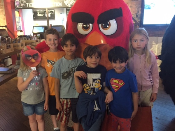 See what MNers thought about the new film, The Angry Birds Movie! NOW CLOSED