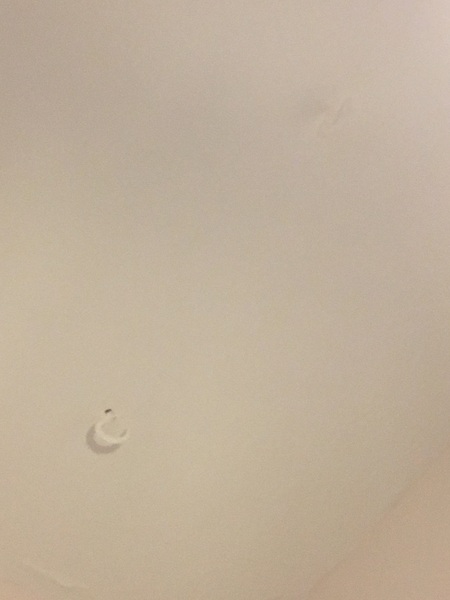 With a human skull in the garden?