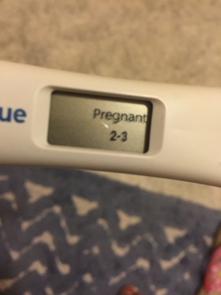 Plus-sized Pregnancy