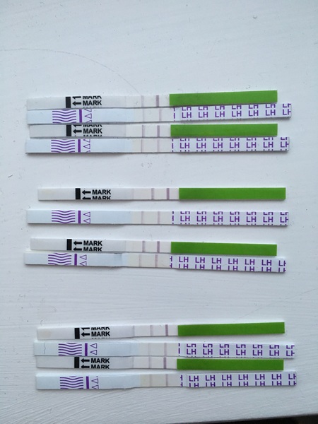 May BFP Bus