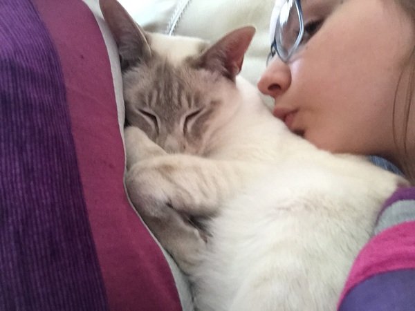 Unwell Siamese - any help appreciated
