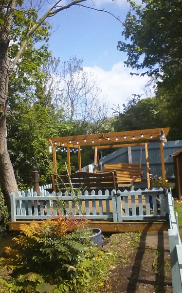 Climbers for a pergola - any advice welcome