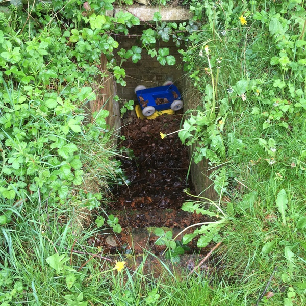 With a human skull in the garden?