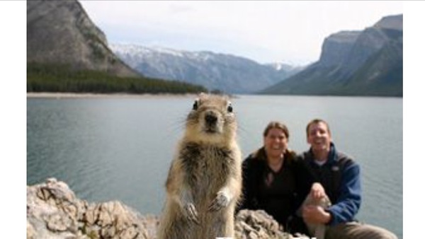 WWYD squirrelgate
