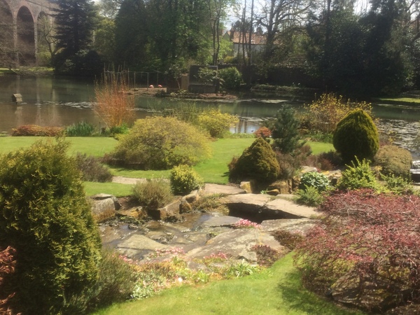 Anyone putting any plans in place in case we leave?