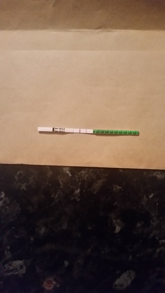Anybody got a bfp from opk test?