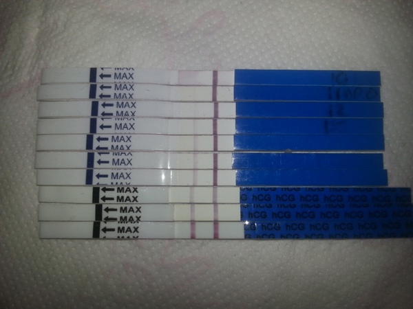 Obsessed with pregnancy tests...