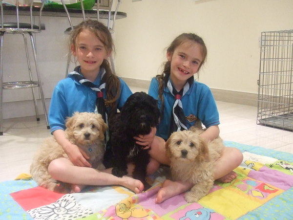 The kindest, most moral way to buy a puppy.