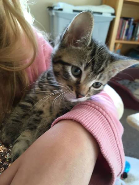 To think that a cat doesn't actually need a name?