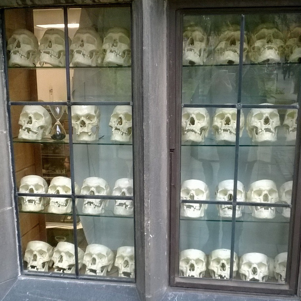 With a human skull in the garden?