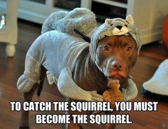 WWYD squirrelgate