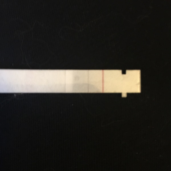 Help? Not sure what to think of this test..