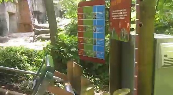To think it's unfair to blame the mother of child hurt by gorilla?