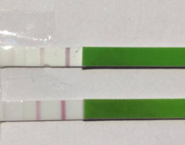 Dark OPK at CD3?!