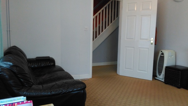 Help with carpet colour