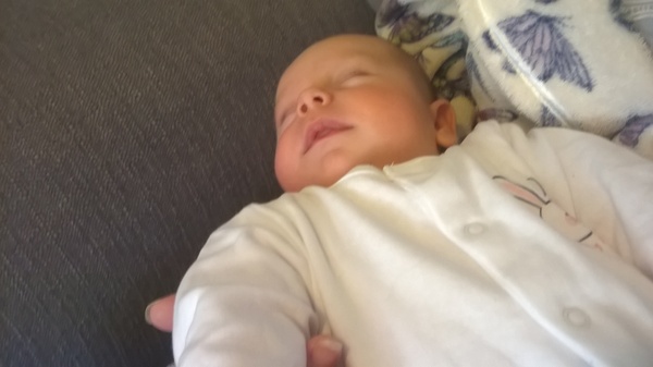 March 2016: the one where Indomitable gives birth...