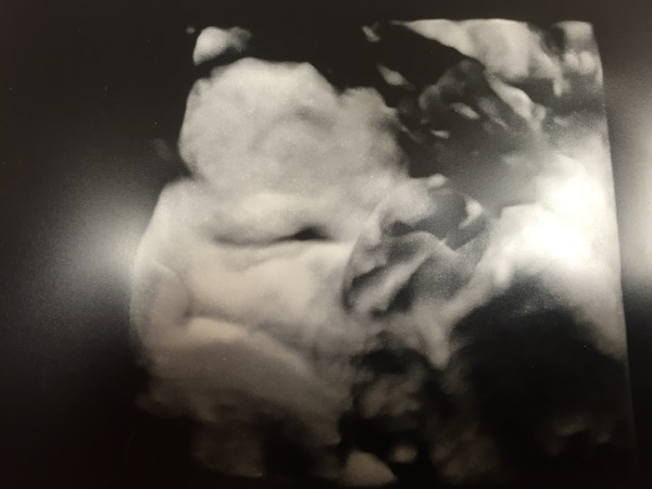 June #9, The ABSOLUTELY FINAL stretch! The one where the little ones start arriving. Here's to sleepless nights and lots of cuddles.