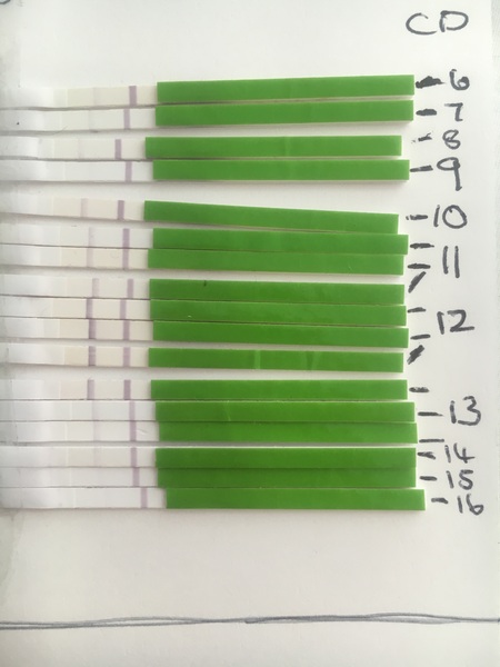 TTC after miscarriage thread #4