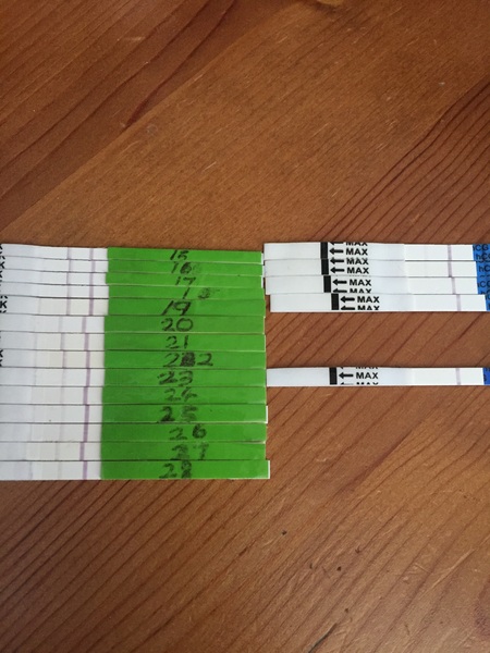 TTC after miscarriage thread #4