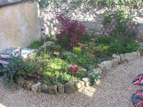 Shady characters - a permanent home for shade garden suggestions!