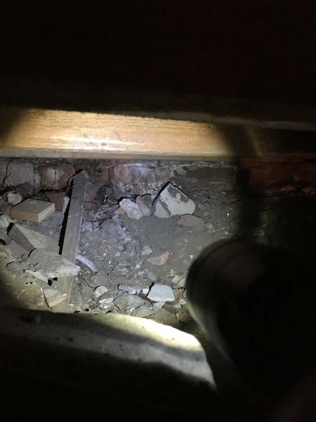 With a human skull in the garden?