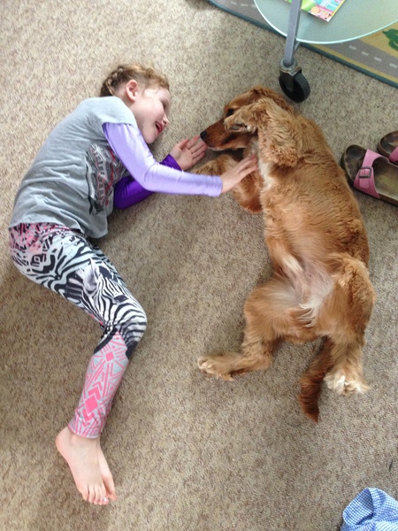Key reasons for getting a dog - share them here - chance to WIN £300 NOW CLOSED