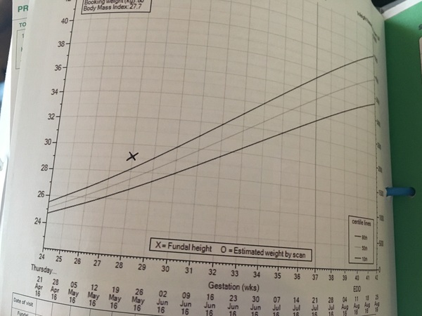 August 2016 number 5 - waddling towards the third trimester!