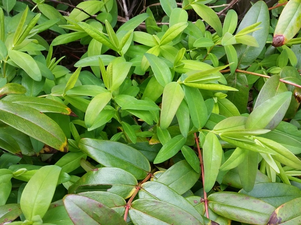 What's this?