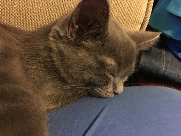 D'ya ever wonder if you could still do the twist and not actually wet yourself in the process?