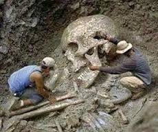 With a human skull in the garden?