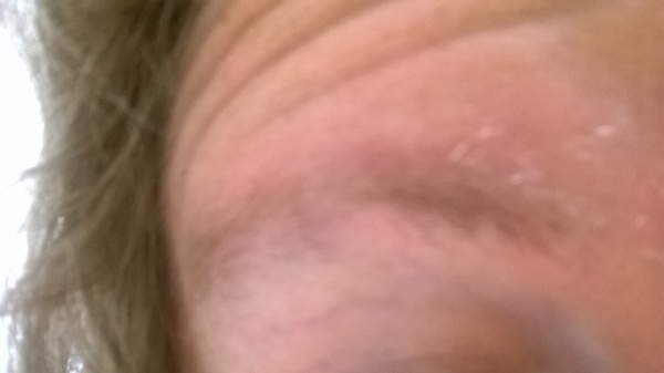 do I pluck my eyebrows too much?? (hideous pic)