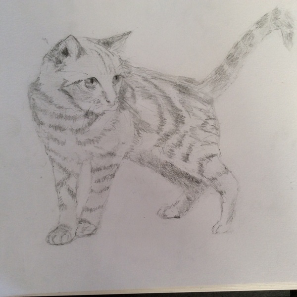 To think this drawing is really good or am I looking through PFB eyes?