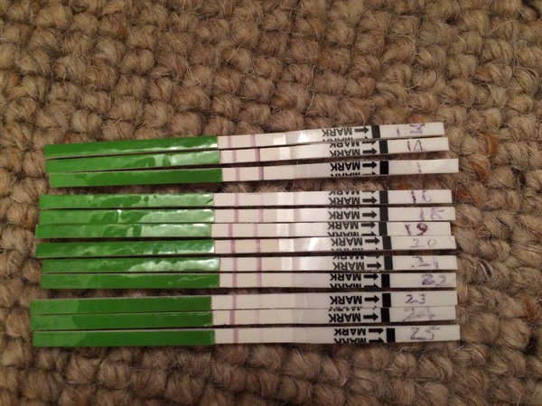 Positive opk after a miscarriage