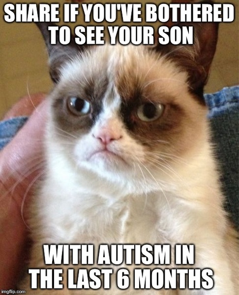 to be really bloody irritated at all my exH's gf's posts about autism?
