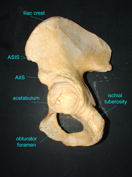 With a human skull in the garden?