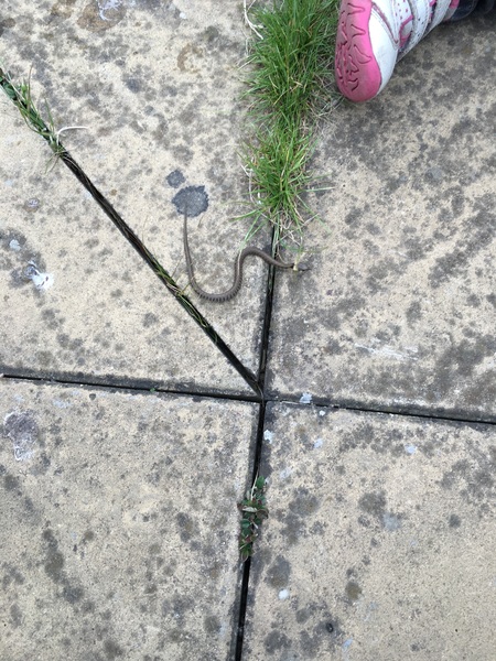 D'ya ever wonder if you could still do the twist and not actually wet yourself in the process?