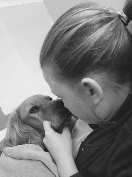 Key reasons for getting a dog - share them here - chance to WIN £300 NOW CLOSED