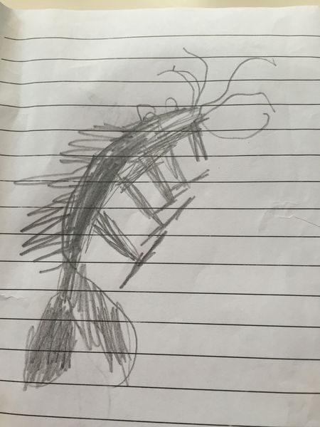 To think this drawing is really good or am I looking through PFB eyes?
