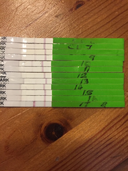 TTC after miscarriage thread #4