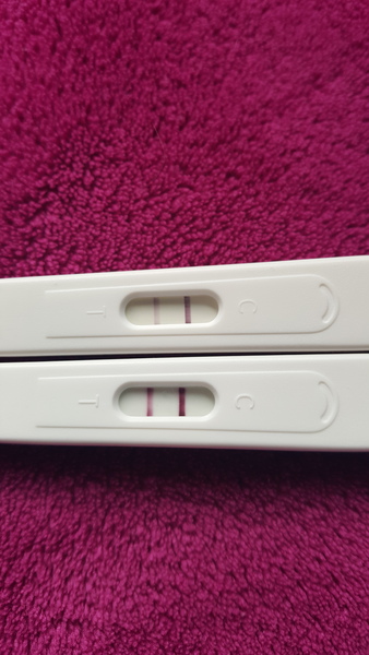 Staying posifrickentive- Thread 9 for ladies pg after mc