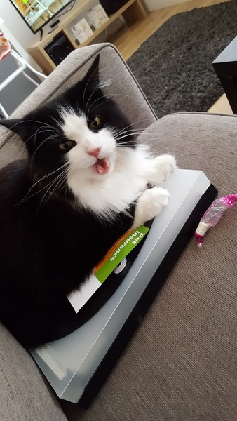 Thread #6 - TTC#1 Grads - Sun roasted pregnant ladies