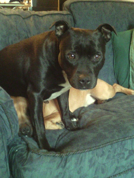 "But we took you to Stately Homes" - survivors of dysfunctional and toxic families